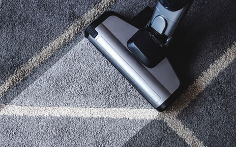 Professional Carpet Cleaning Services